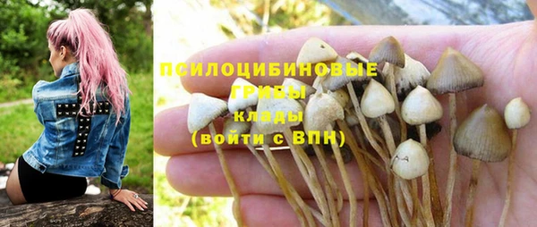 меф Переславль-Залесский