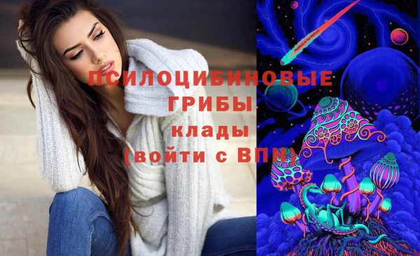 первитин Алексеевка